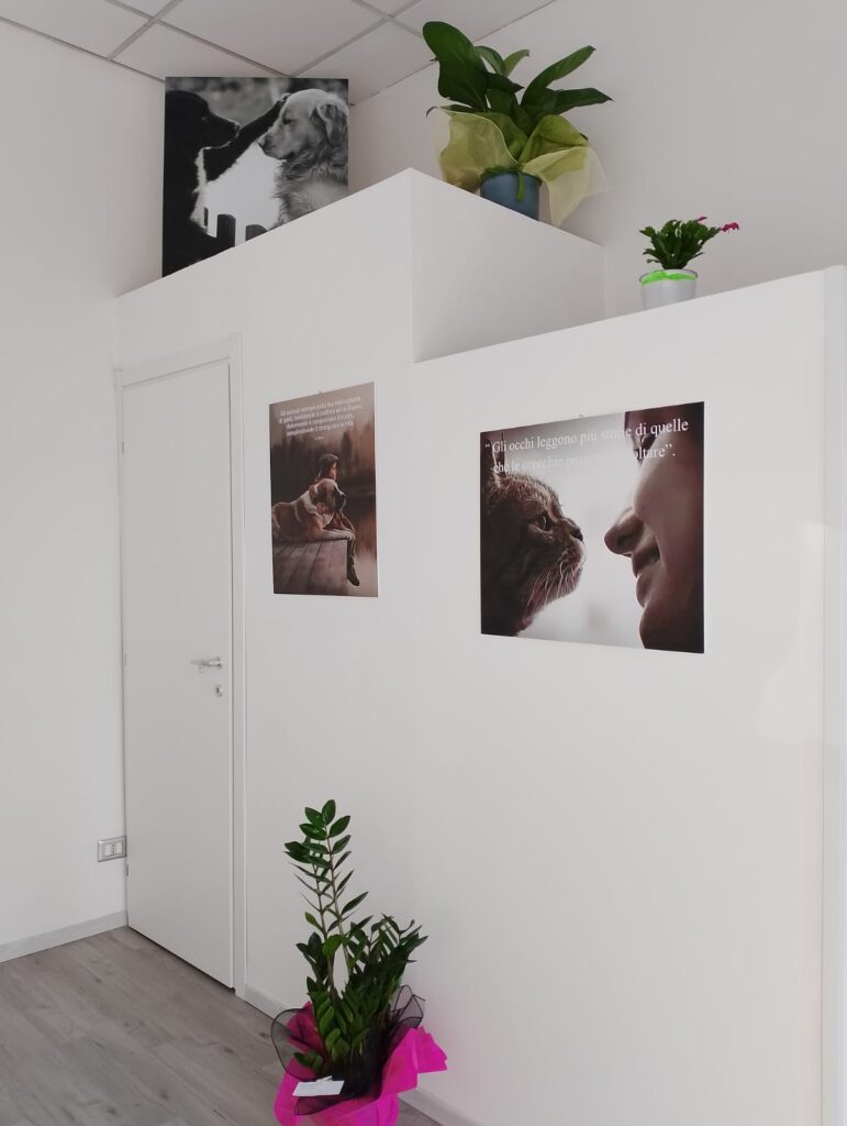ultima_coccola_gallery_1