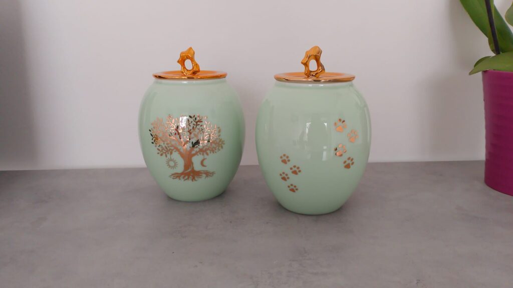 ultima_coccola_gallery_7